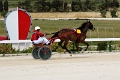 2015_Race 2 - 07